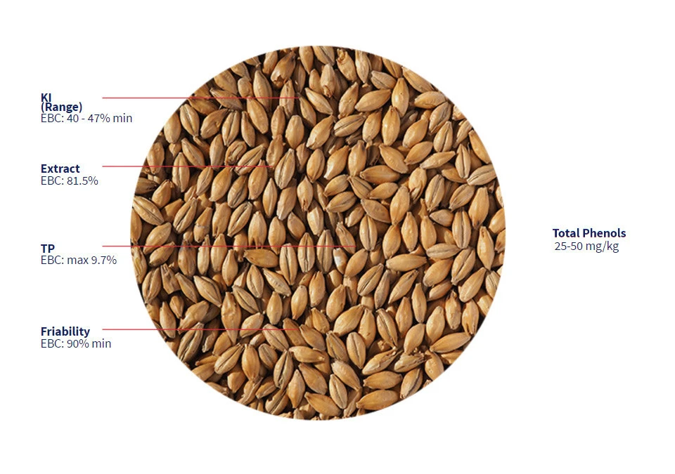 Crisp Scottish Heavy 50 Peat Malt 125g Crushed